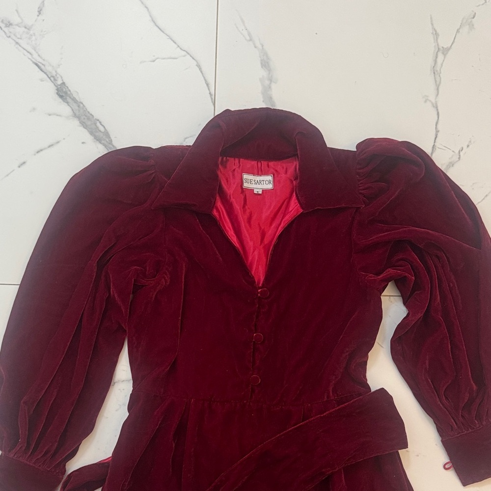 Sue Sartor Velvet Dress - Picture 3 of 4
